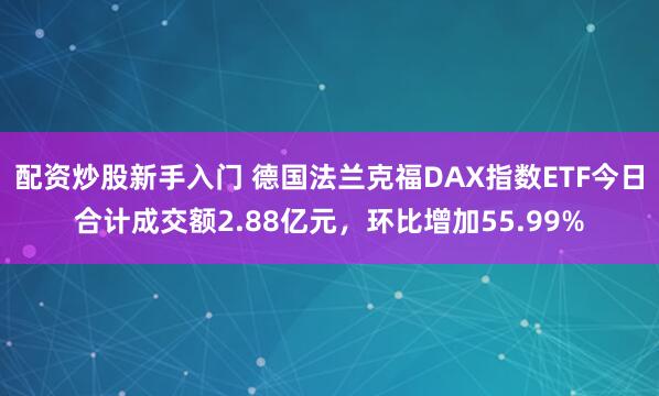 配资炒股新手入门 德国法兰克福DAX指数ETF今日合计成交额2.88亿元，环比增加55.99%