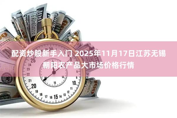 配资炒股新手入门 2025年11月17日江苏无锡朝阳农产品大市场价格行情