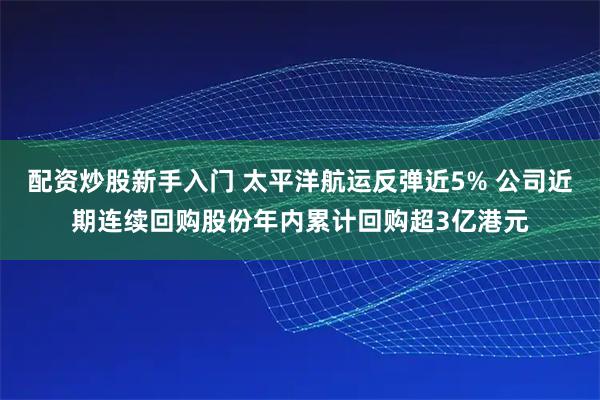 配资炒股新手入门 太平洋航运反弹近5% 公司近期连续回购股份年内累计回购超3亿港元